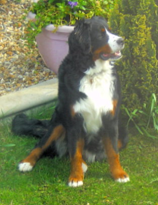 Sophie at 8 Months