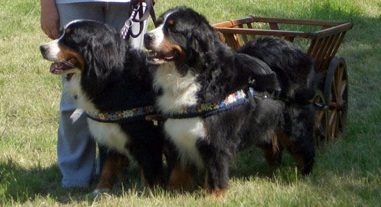 (L-R) Amy & Sophie doing Brace