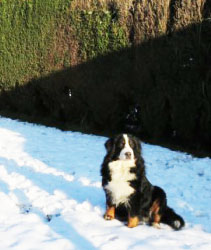 Keela at Three Years Old