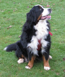 Keela at Three Years Old