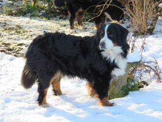 Keela at Three Years Old