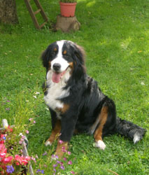Keela at 9 Months