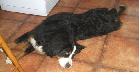 Keela at 8 Months
