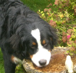 Keela at 9 Months