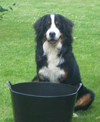 Keela at 9 Months