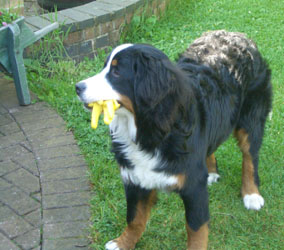 Keela at 7 Months