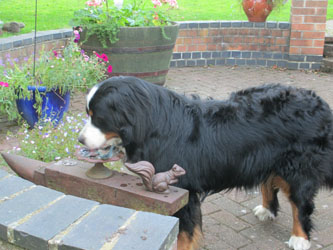 Keela at Two & Three Quarter Years Old