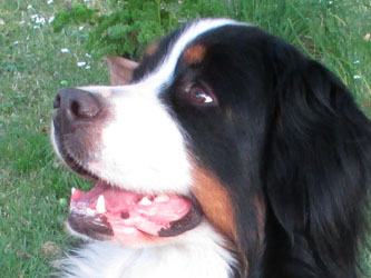 Keela at Two & a Half Years Old