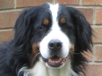 Keela at Two & Three Quarter Years Old