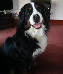 Keela at Two & A Quarter Years Old