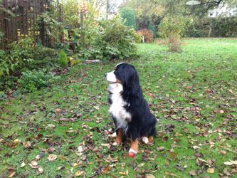 Keela Two Years Old