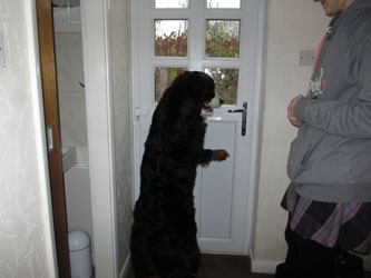 Keela at 15 Months Old