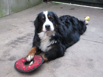 Keela at 18 Months