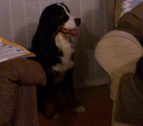 Keela at One Year Old