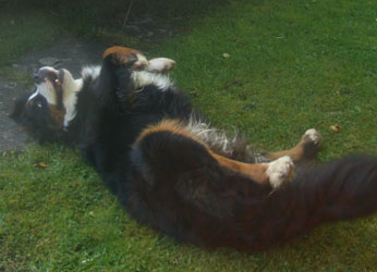 Keela at 11 Months