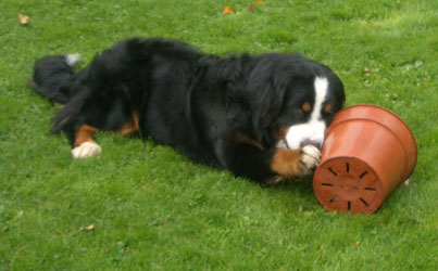 Keela at 11 Months