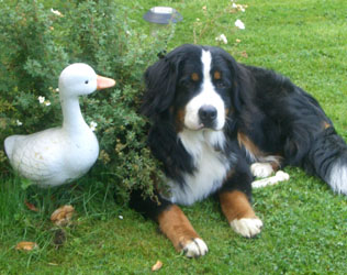 Keela at 10 Months