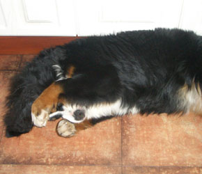 Keela at 7 Months
