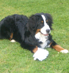 Keela at 7 Months