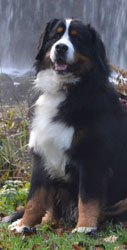 McKenzie at 15 Months