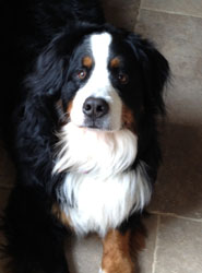 Murphy at 18 Months