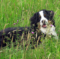 Murphy at 9 Months