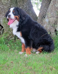 Murphy at 9 Months
