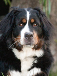 Ruby at 21 Months