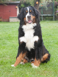 Ruby at 18 Months