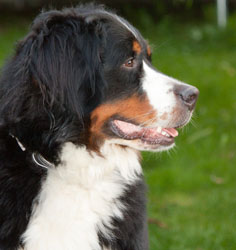 Ruby at 21 Months