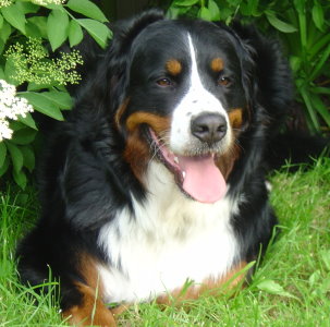 Sophie at 22 Months