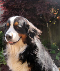 Theo at 2&frac12; Years