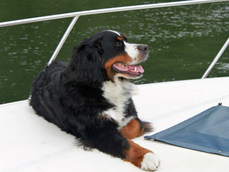 Ruby Goes On Her First Family Boating Holiday On The Thames