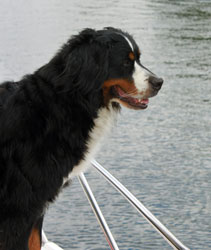 Ruby Goes On Her First Family Boating Holiday On The Thames