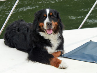 Ruby Goes On Her First Family Boating Holiday On The Thames