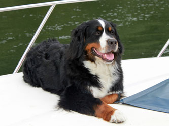 Ruby Goes On Her First Family Boating Holiday On The Thames