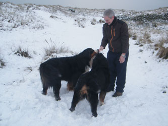 Merlin & Katie