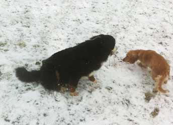 Tia & Honey