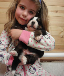 The Russian Boys Litter - 1 Week Old - Day Twenty Pictures