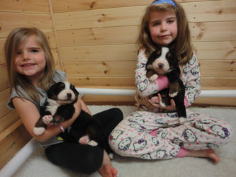 The Russian Boys Litter - 1 Week Old - Day Twenty Pictures