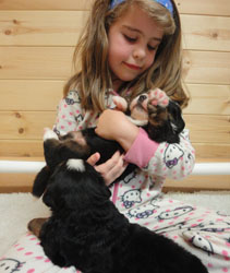 The Russian Boys Litter - 1 Week Old - Day Twenty Pictures