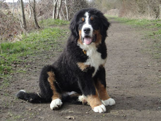 Henry at Five Months