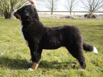 Henry at Five Months