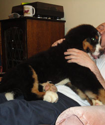 Henry at 4&frac12; Months Old