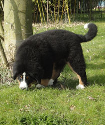Henry at Four Months Old
