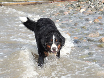 Henry at Nine & A Three Quarter Months