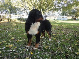 Henry at One Year Old