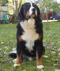 Henry at One Year Old