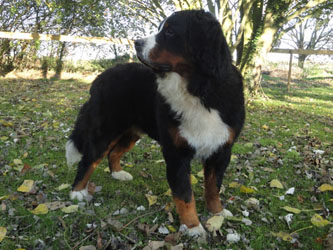 Henry at One Year Old