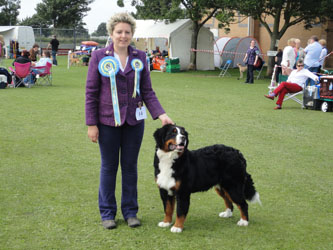 Henry at Seven & A Half Months - the Day that he won Best Puppy in Breed, Working Puppy Group and Reserve Best Puppy In Show